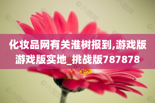 游戏挑战 第3页