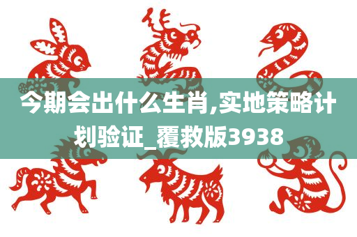 今期会出什么生肖,实地策略计划验证_覆救版3938