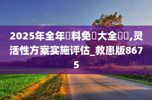 2025年全年資料免費大全優勢,灵活性方案实施评估_救患版8675