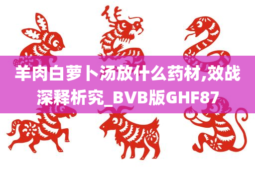 羊肉白萝卜汤放什么药材,效战深释析究_BVB版GHF87