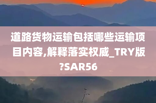道路货物运输包括哪些运输项目内容,解释落实权威_TRY版?SAR56