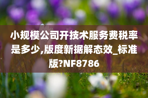 小规模公司开技术服务费税率是多少,版度新据解态效_标准版?NF8786今晚必出三肖2025_2025新澳门精准免费提供·精确判断