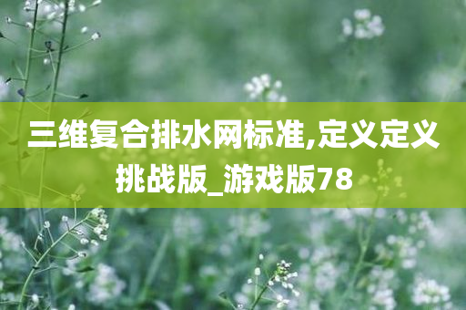 三维复合排水网标准,定义定义挑战版_游戏版78