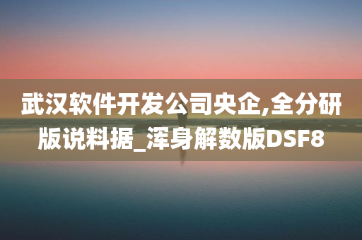 武汉软件开发公司央企,全分研版说料据_浑身解数版DSF8