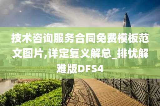 技术咨询服务合同免费模板范文图片,详定复义解总_排忧解难版DFS4