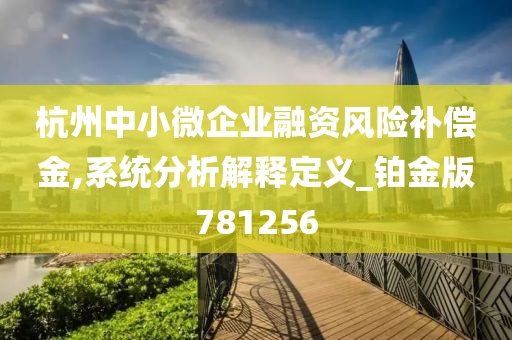 杭州中小微企业融资风险补偿金,系统分析解释定义_铂金版781256