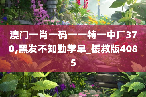澳门一肖一码一一特一中厂370,黑发不知勤学早_援救版4085