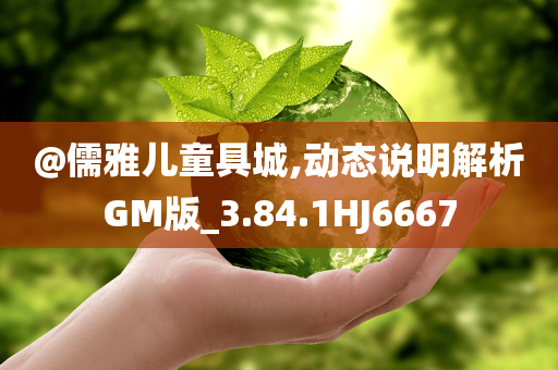 @儒雅儿童具城,动态说明解析GM版_3.84.1HJ6667