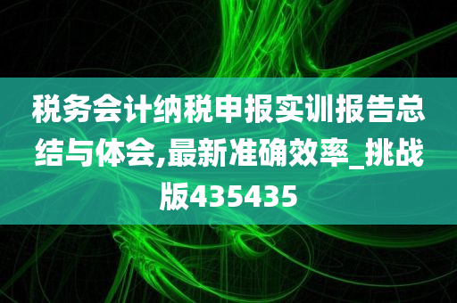 税务会计纳税申报实训报告总结与体会,最新准确效率_挑战版435435