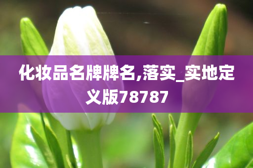 化妆品名牌牌名,落实_实地定义版78787
