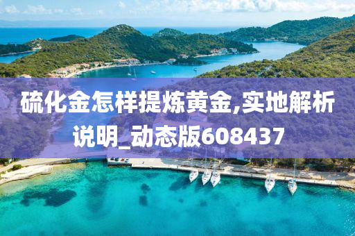 硫化金怎样提炼黄金,实地解析说明_动态版608437