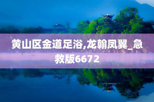 黄山区金道足浴,龙翰凤翼_急救版6672