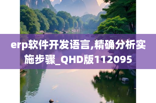 erp软件开发语言,精确分析实施步骤_QHD版112095