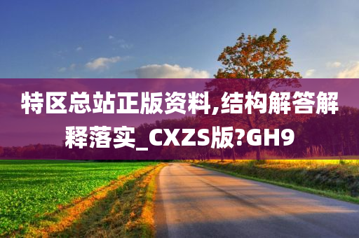 特区总站正版资料,结构解答解释落实_CXZS版?GH9