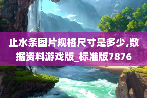 止水条图片规格尺寸是多少,数据资料游戏版_标准版7876