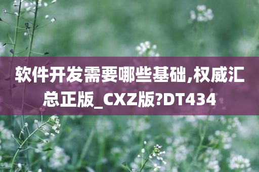 zhangyatai 第29页