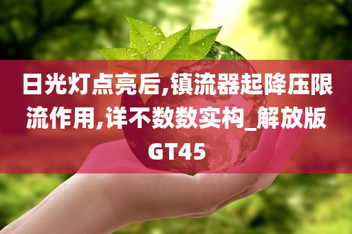日光灯点亮后,镇流器起降压限流作用,详不数数实构_解放版GT45