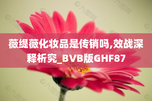薇缇薇化妆品是传销吗,效战深释析究_BVB版GHF87