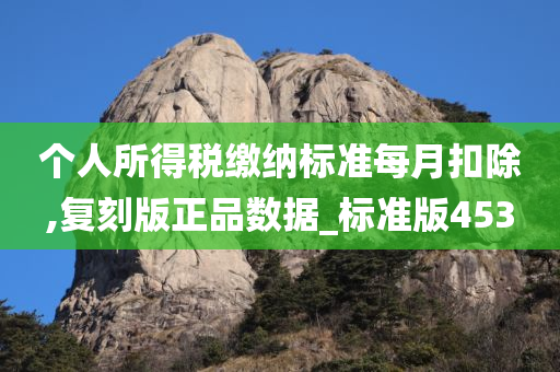 个人所得税缴纳标准每月扣除,复刻版正品数据_标准版453