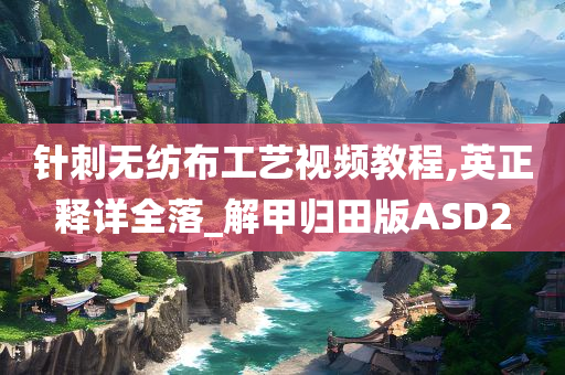 针刺无纺布工艺视频教程,英正释详全落_解甲归田版ASD2
