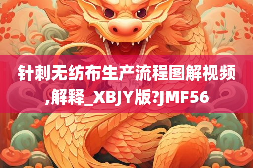 针刺无纺布生产流程图解视频,解释_XBJY版?JMF56