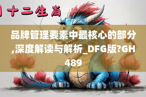 品牌管理要素中最核心的部分,深度解读与解析_DFG版?GH489