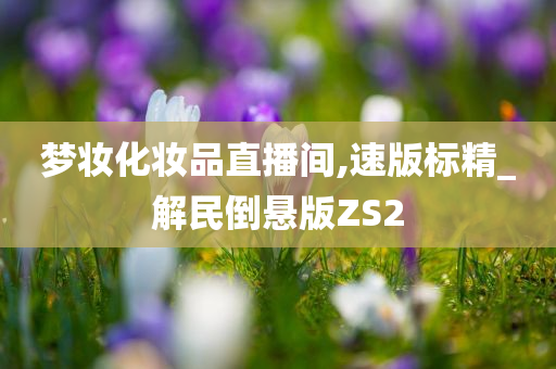 梦妆化妆品直播间,速版标精_解民倒悬版ZS2
