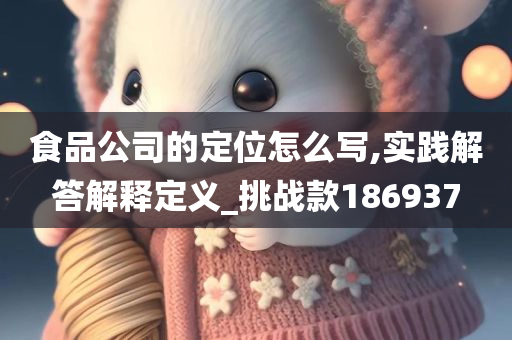 食品公司的定位怎么写,实践解答解释定义_挑战款186937