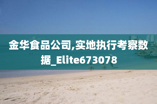 金华食品公司,实地执行考察数据_Elite673078