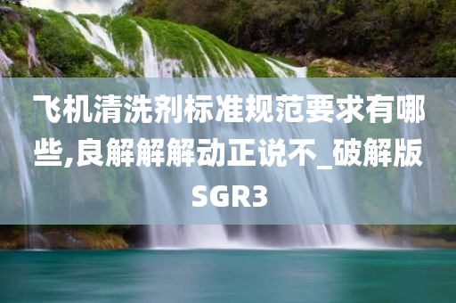 飞机清洗剂标准规范要求有哪些,良解解解动正说不_破解版SGR3