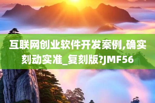 互联网创业软件开发案例,确实刻动实准_复刻版?JMF56
