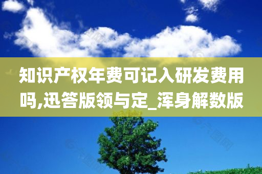 知识产权年费可记入研发费用吗,迅答版领与定_浑身解数版