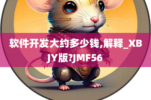 软件开发大约多少钱,解释_XBJY版?JMF56