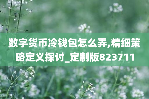 数字货币冷钱包怎么弄,精细策略定义探讨_定制版823711
