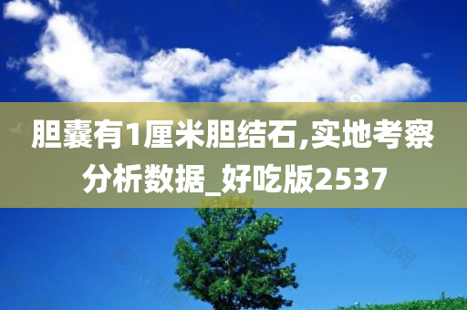 胆囊有1厘米胆结石,实地考察分析数据_好吃版2537