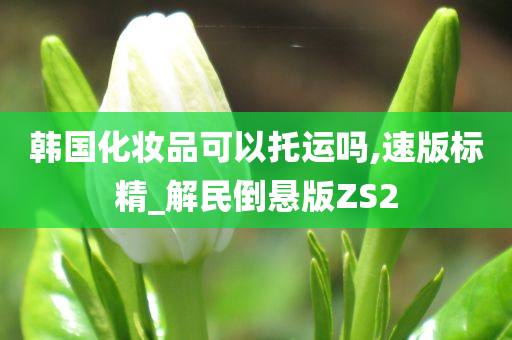 韩国化妆品可以托运吗,速版标精_解民倒悬版ZS2