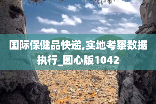 国际保健品快递,实地考察数据执行_圆心版1042