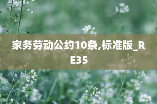 家务劳动公约10条,标准版_RE35