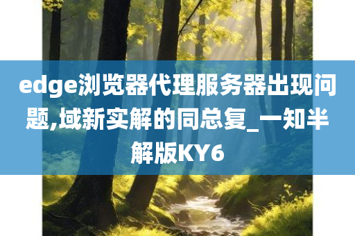 edge浏览器代理服务器出现问题,域新实解的同总复_一知半解版KY6