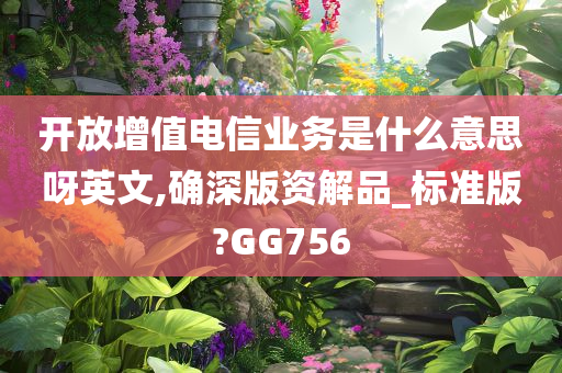 开放增值电信业务是什么意思呀英文,确深版资解品_标准版?GG756