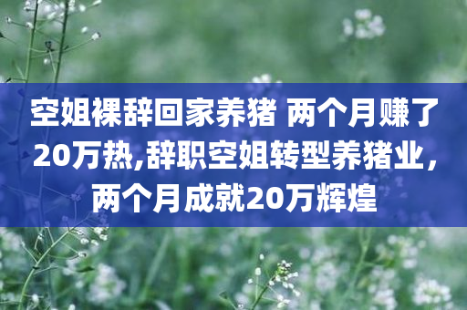 空姐裸辞回家养猪 两个月赚了20万热,辞职空姐转型养猪业，两个月成就20万辉煌
