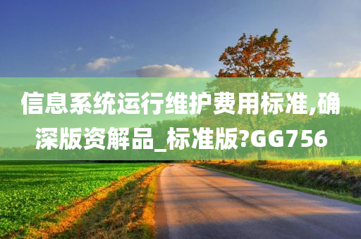 信息系统运行维护费用标准,确深版资解品_标准版?GG756