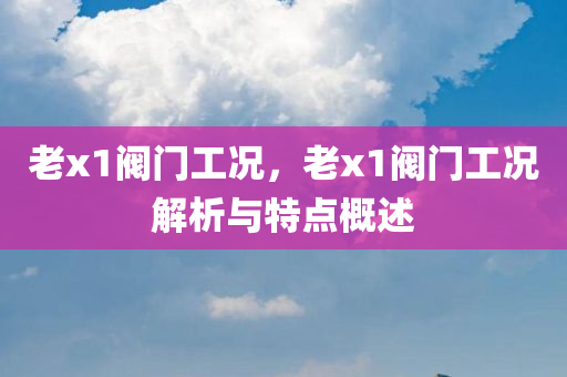 老x1阀门工况，老x1阀门工况解析与特点概今晚必出三肖2025_2025新澳门精准免费提供·精确判断述