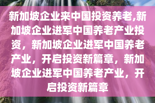 新加坡企业来中国投资养老,新加坡企业进军中国养老产业投资，新加坡企业进军中国养老产业，开启投资新篇章，新加坡企业进军中国养老产业，开启投资新篇章