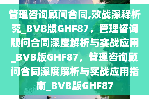 管理咨询