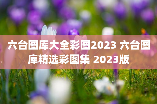 六台图库大全彩图2023 六台图库精选彩图集 2023版