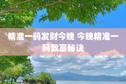 精准一码发财今晚 今晚精准一码致富秘诀