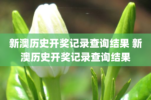 新澳历史开奖记录查询结果 新澳历史开奖记录查询结果