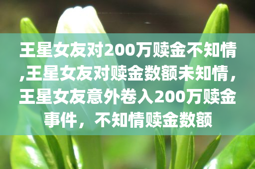 王星女友对200万赎金不知情,王星女友对赎金数额未知情，王星女友意外卷入200万赎金事件，不知情赎金数额