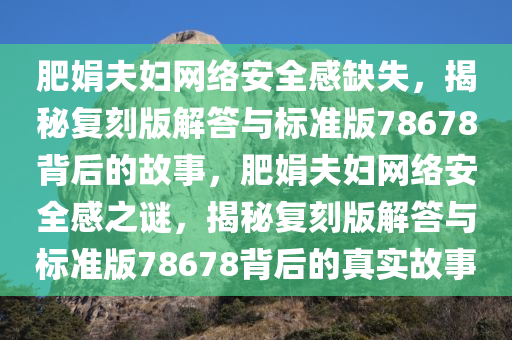 肥娟夫妇网络安全感缺失，揭秘复刻版解答与标准版78678背后的故事，肥娟夫妇网络安全感之谜，揭秘复刻版解答与标准版78678背后的真实故事